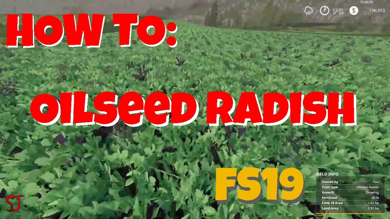 FS19 | How To Use Oilseed Radish