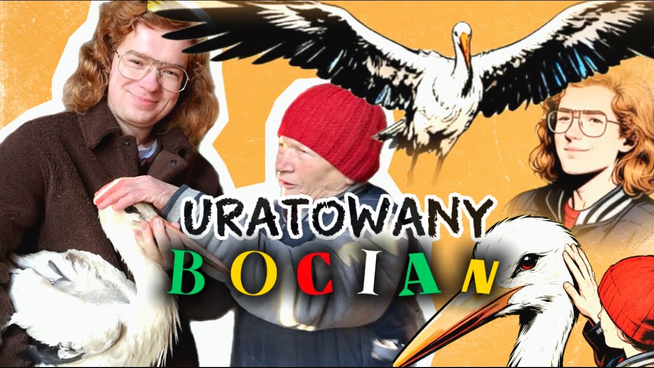 URATOWANY BOCIAN!