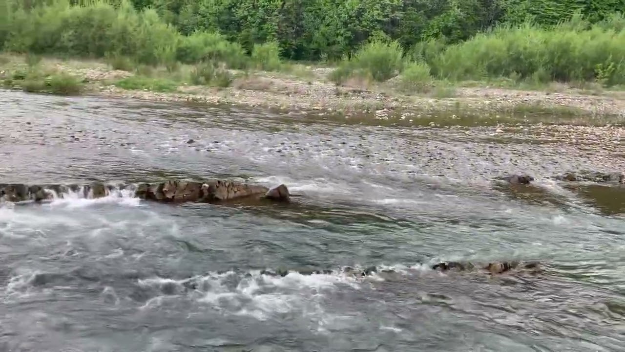 Неймовірна краса Карпат Вигода річка Свіча