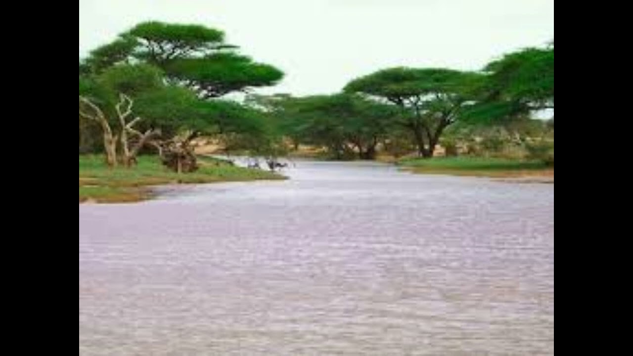 Hees jaandheer ah- dhalan-dhool iyo xasan quulle .