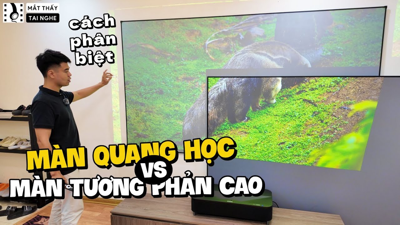 Phân biệt Màn chiếu quang học và Màn chiếu tương phản cao, lưu ý khi dùng với máy chiếu siêu gần