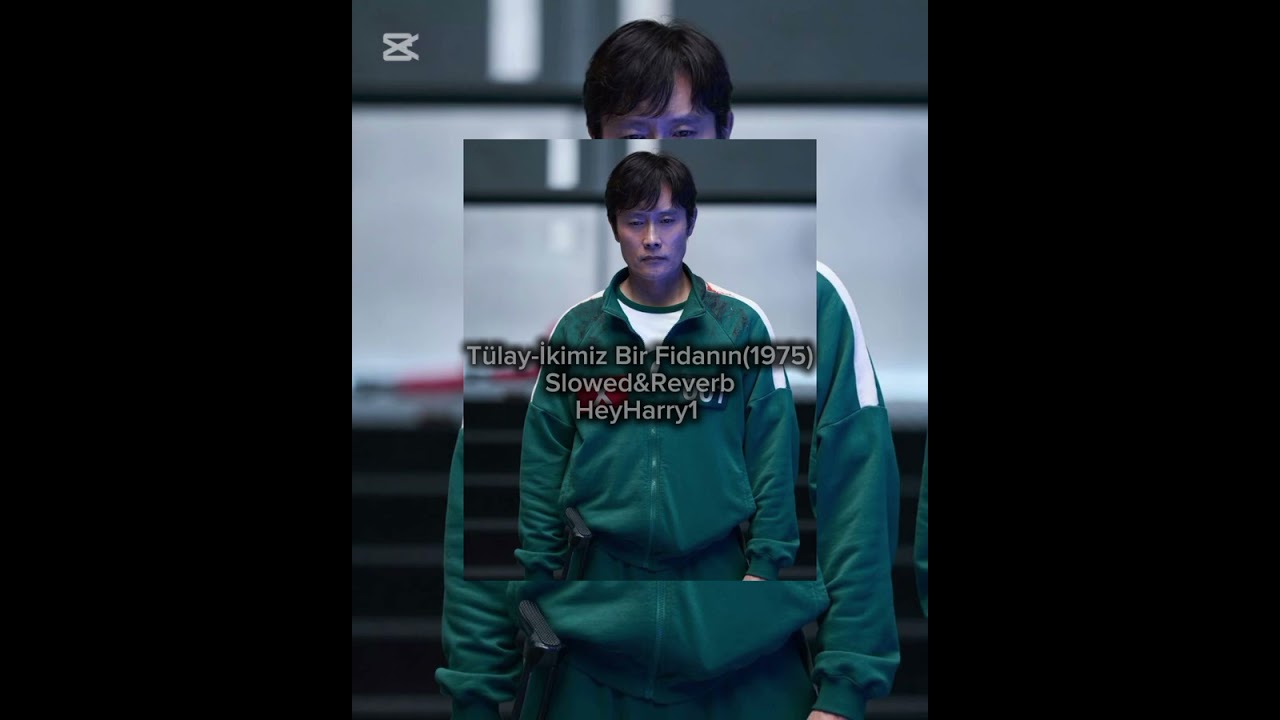 T&uuml;lay-İkimiz Bir Fidanın (1975) Slowed&Reverb