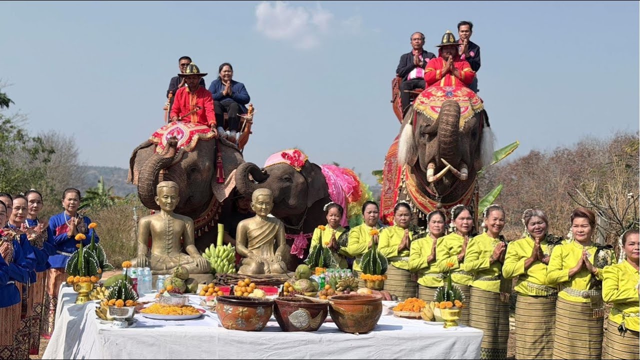 เริ่มแห่สักการะศาลเจ้าปู่ด้วง ย่าดี อ.แก้งคร้อ จ.ชัยภูมิ🐘