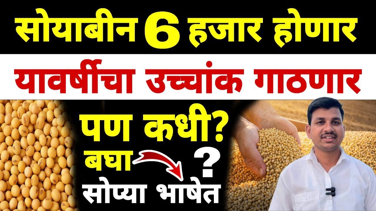 सोयाबीन भाव अपडेट | सोप्या भाषेत | Dnyaneshwar Kharat Patil