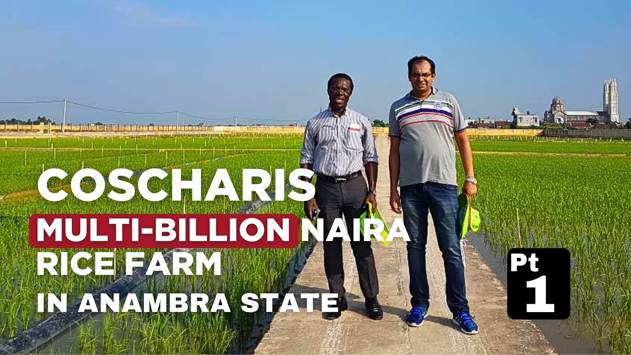 Why I Invested in Agriculture – Dr. Cosmas Maduka Tells All”*