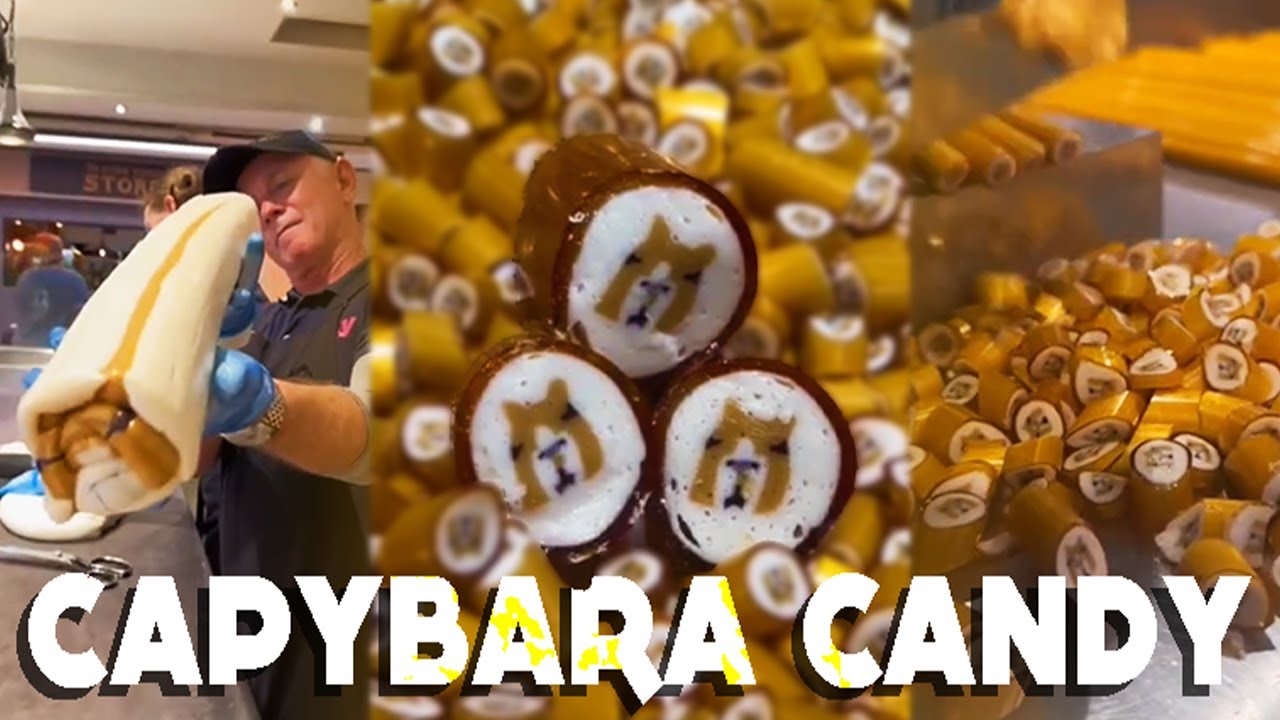 CANDY WITH A LITTLE CAPYBARA!