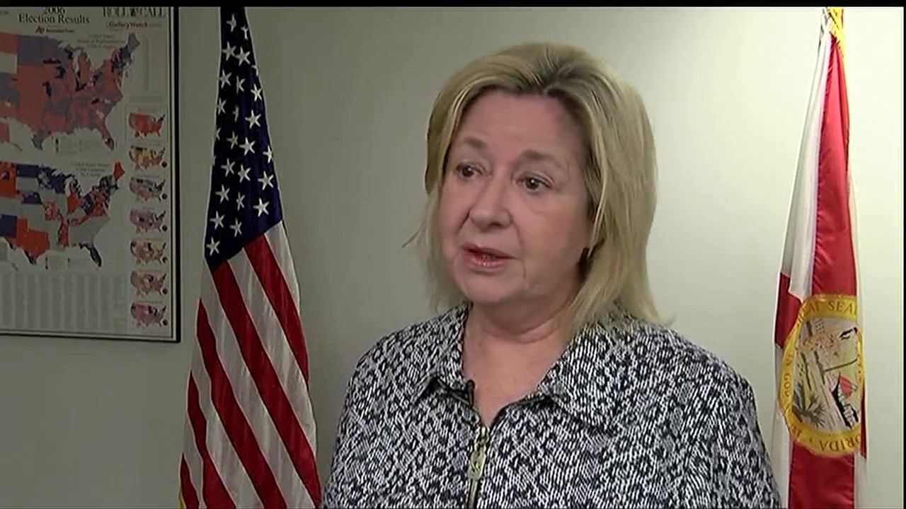 Local Partisan Politics