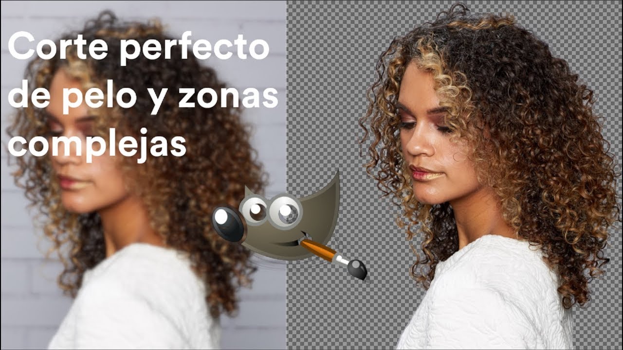 Recortar pelo y detalles finos de una foto | GIMP 2.10