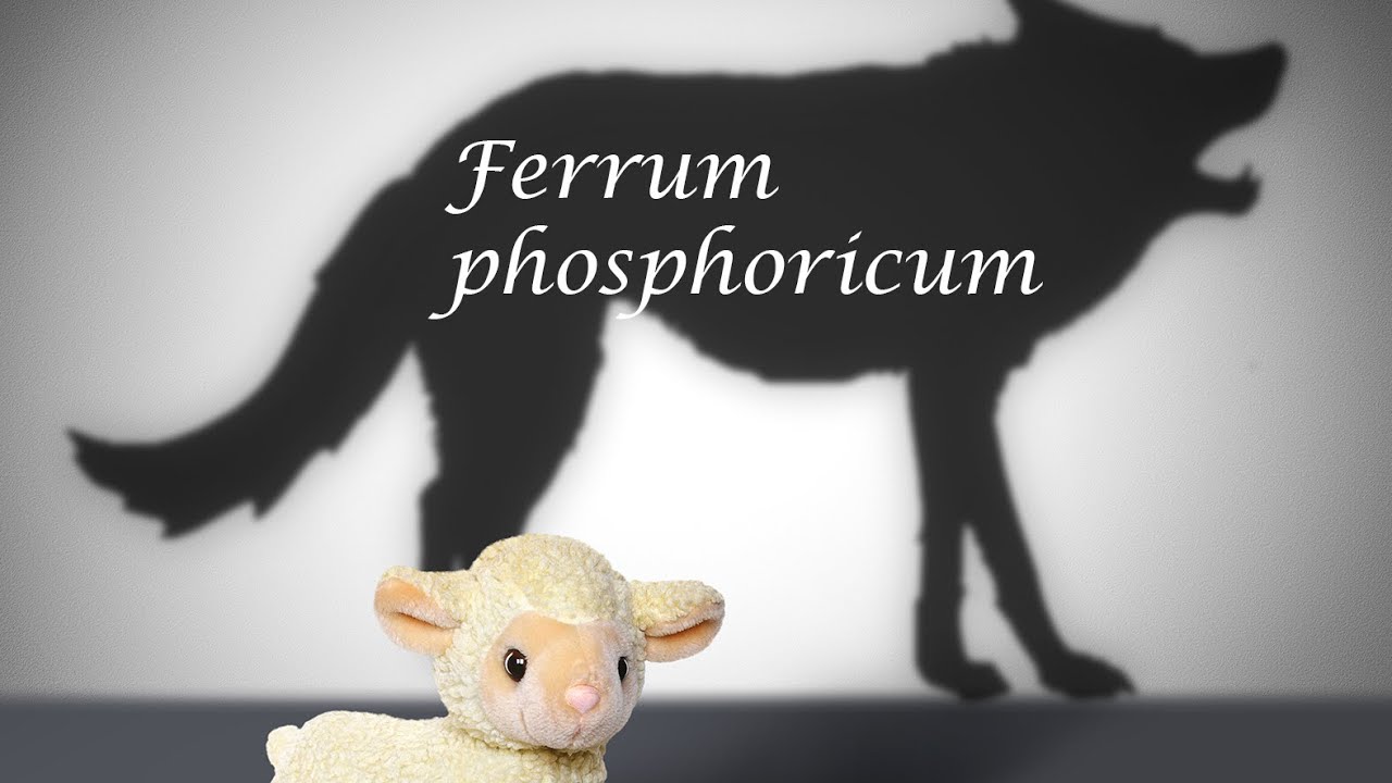 Ferrum phosphoricum - Ersch&ouml;pfender Kampf nach Vers&ouml;hnung... - Seelenhom&ouml;opathie - Kim Fohlenstein