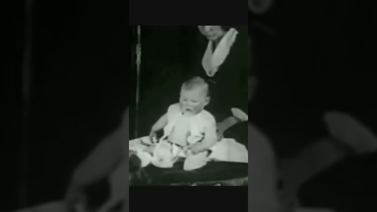 The Little Albert Experiment &ndash; How a Baby Was Trained to Be Afraid