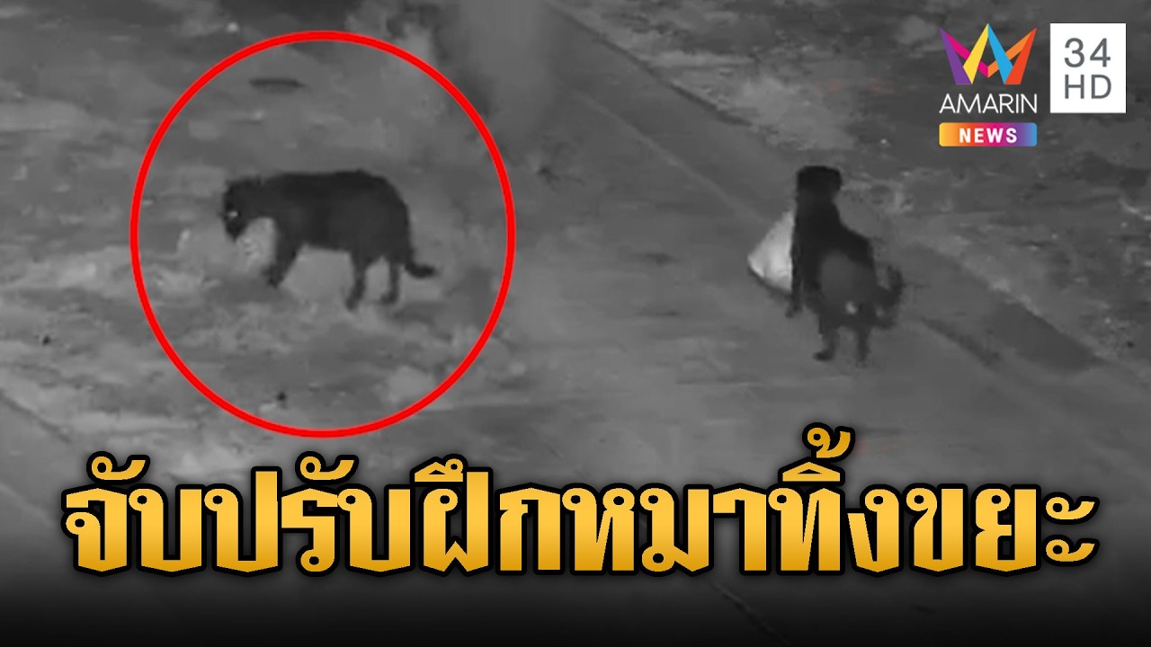 สั่งปรับเจ้าของอิตาลี ฝึกหมาคาบถุงขยะทิ้งผิด กม. | ข่าวอรุณอมรินทร์ | 23/02/69