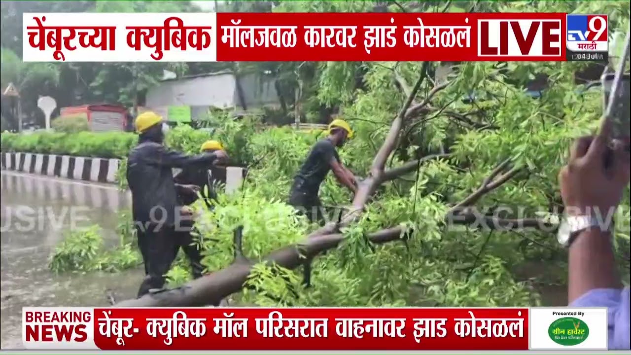 Chembur Tree Collapsed | चेंबूरच्या क्युबिक मॉलजवळ कारवर झाड कोसळलं