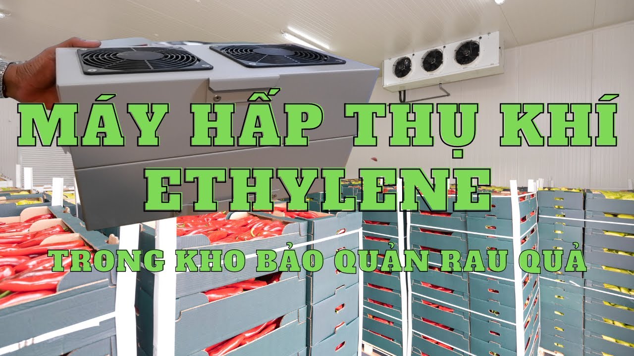 Máy Hấp Thụ Khí Ethylene Trong Kho Bảo Quản Rau Củ, Trái Cây Và Hoa