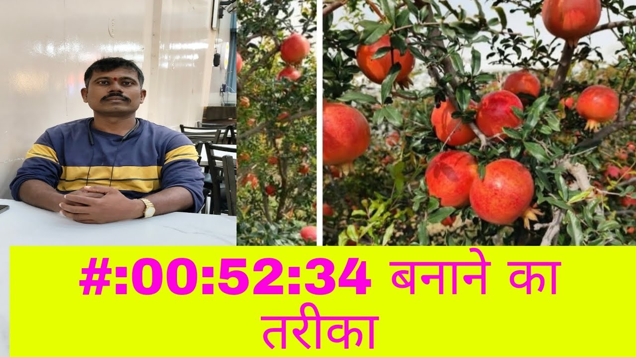 #00:52: 34 #घर पर ही बनाये#लक्ष्मण शिंदे शेतकरी दूत