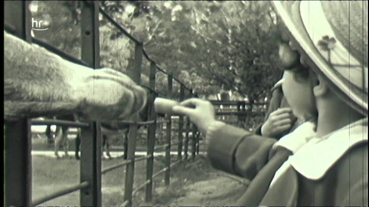 Filme von gestern - Hessen 1933 bis 1945