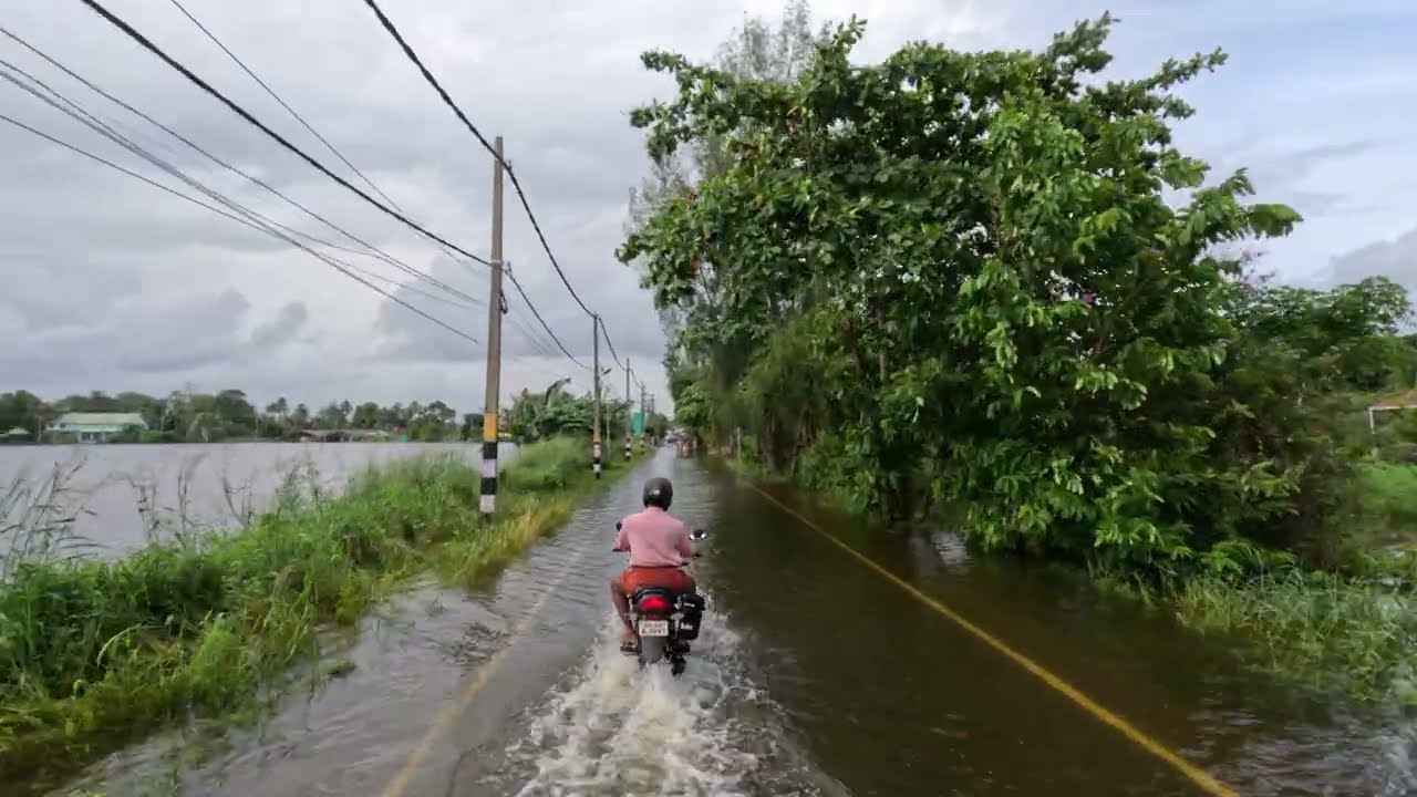 Kerala Rainy Season Ride 🔥 Alappuzha – Changanassery Road 🔥 Kuttanad Backwaters, India 🔥 4K 60FPS
