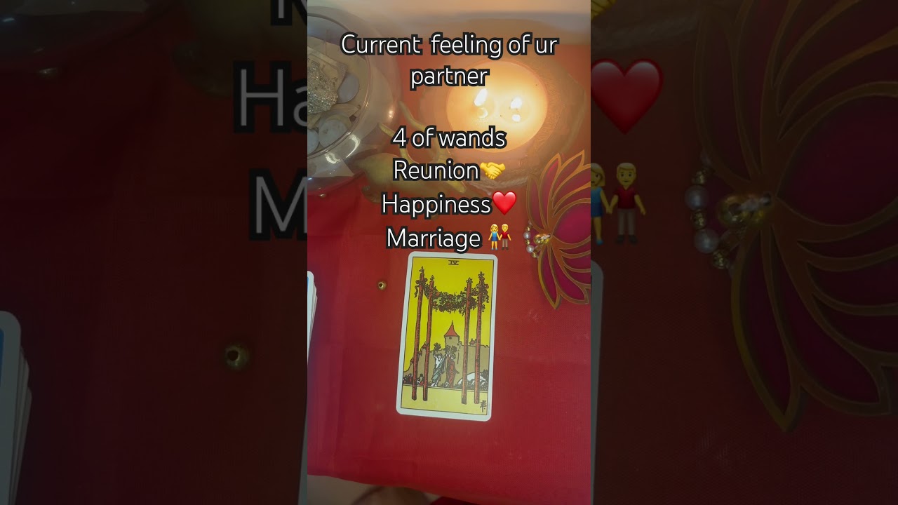 Tarot reading currentfeelingofurpartner👩&zwj;❤️&zwj;👨 lovereading #tarot #tarot reading #lovereading