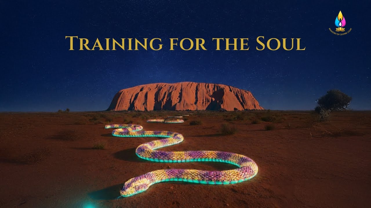 Training for the Soul: Survival, Snakes, and Synchronicity in the Australian Outback