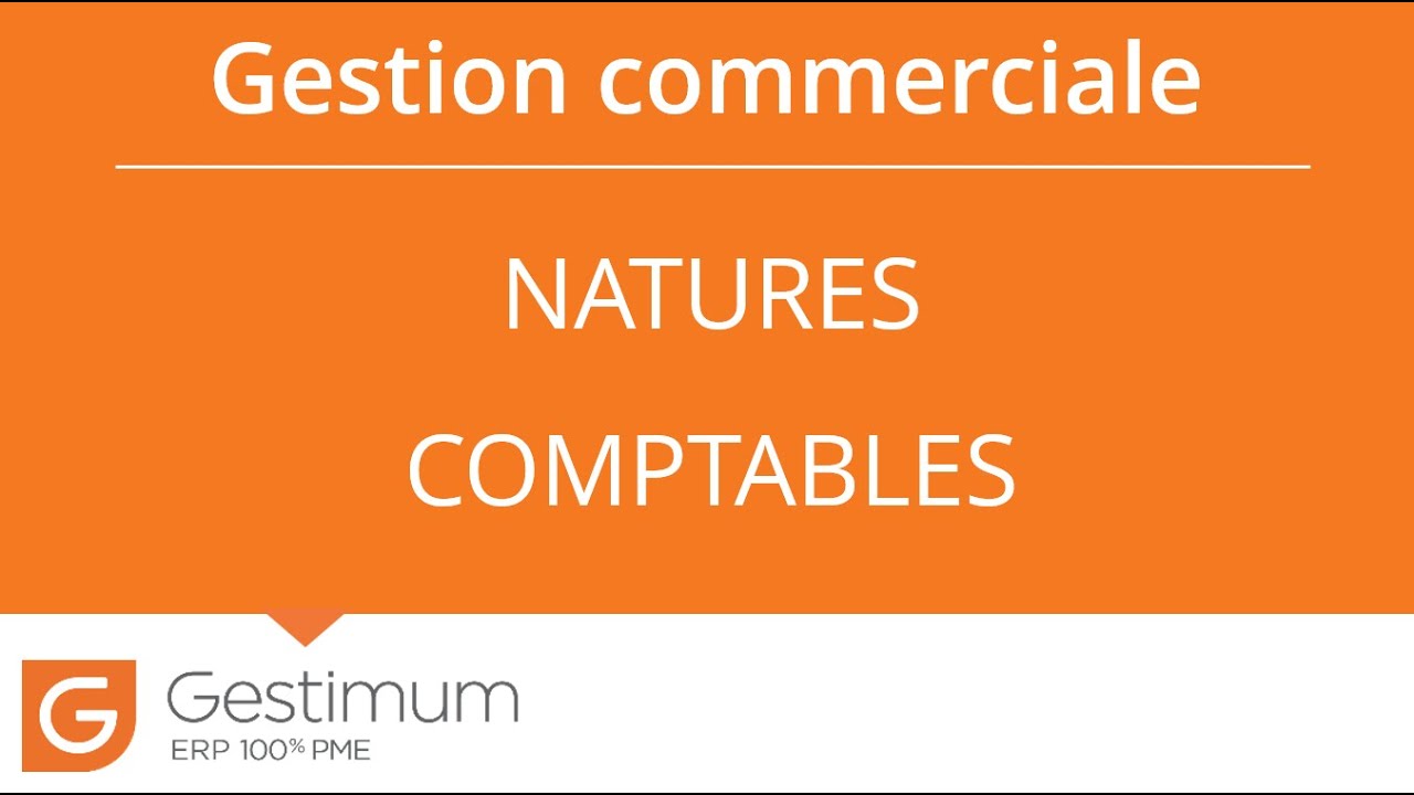 Logiciel de Gestion Commerciale - Les Natures comptables