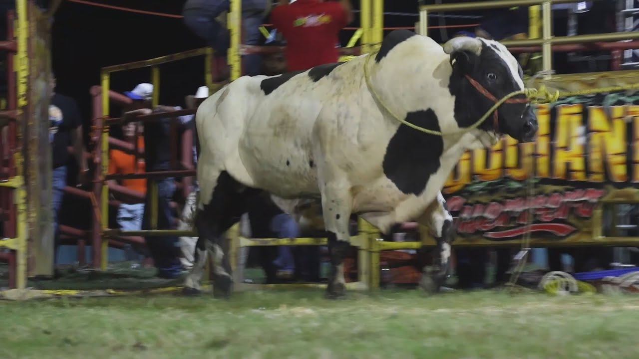 🔴 RAYITO DE LA TENENCIA suple a KIKITO en Vivo 🔴 REYES DE JALISCO 28 Septiembre 2025 vs RANCHO MM