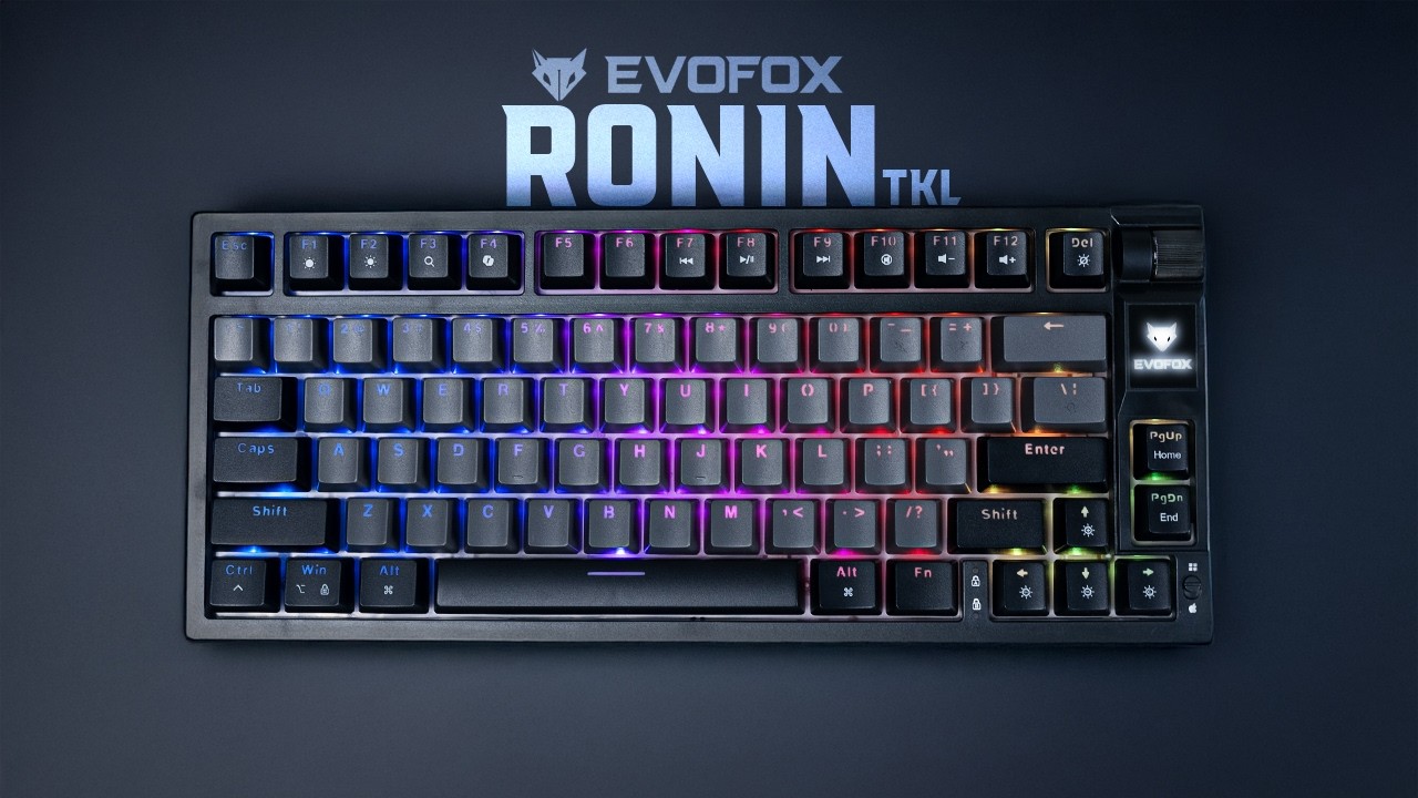 IS Evofox Ronin the BEST Mechanical Gaming Keyboard Under 3000?