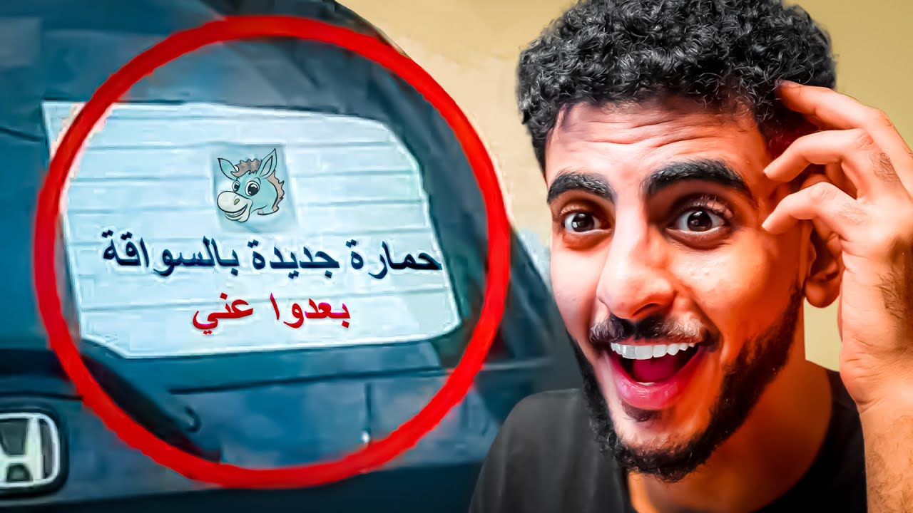أقوى عبارات انكتبت على السيارات!