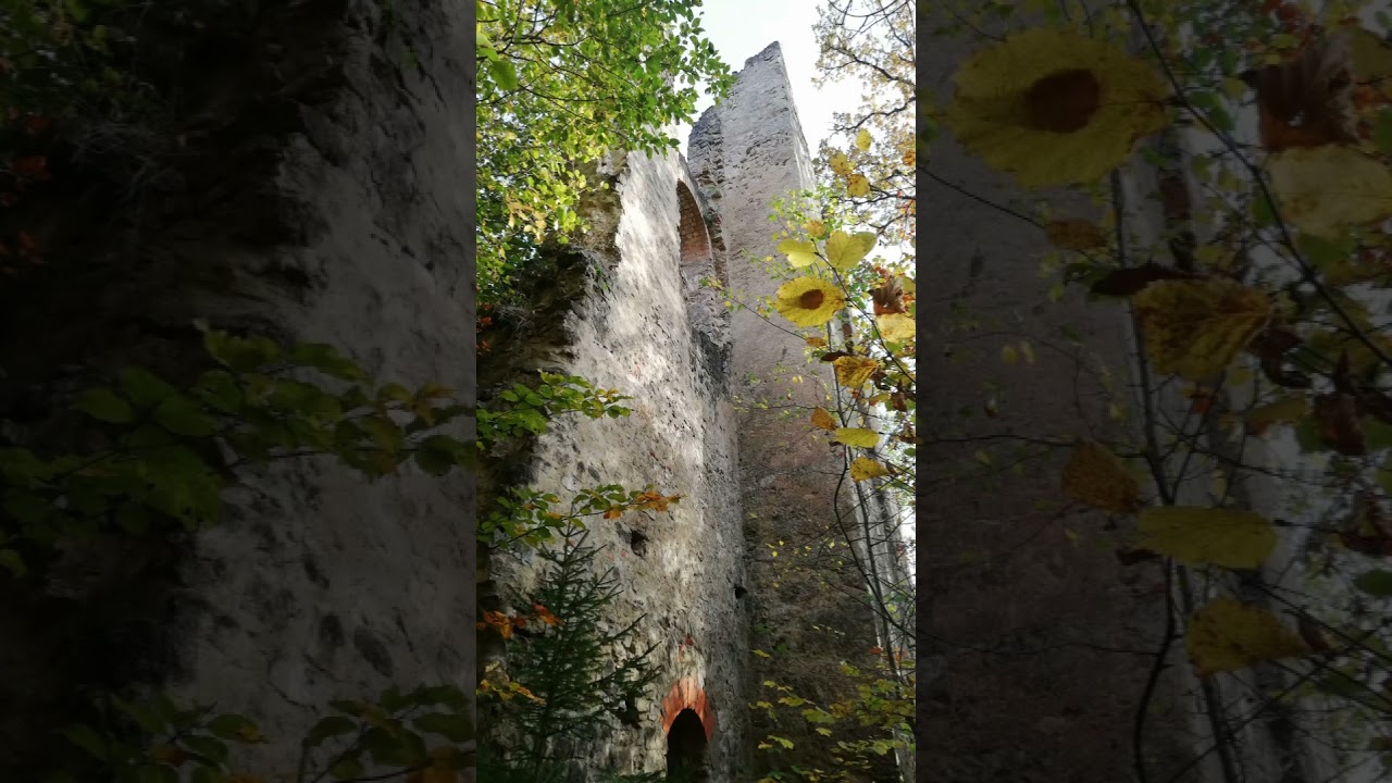 Hofgut Neckarburg und Ruine Neckarburg