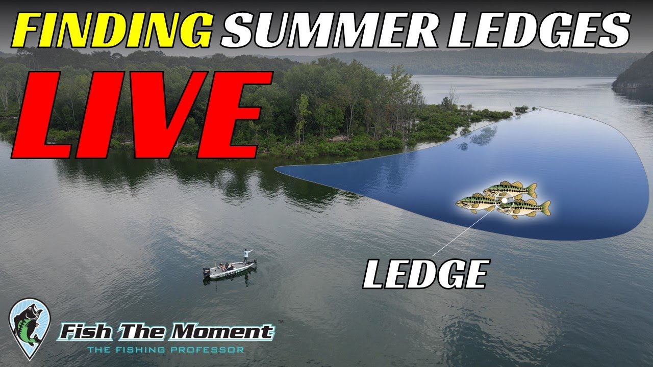 2 Hours of Summer Ledge Fishing For Offshore Bass | Side Imaging, Down Imaging, Livescope, Mapping