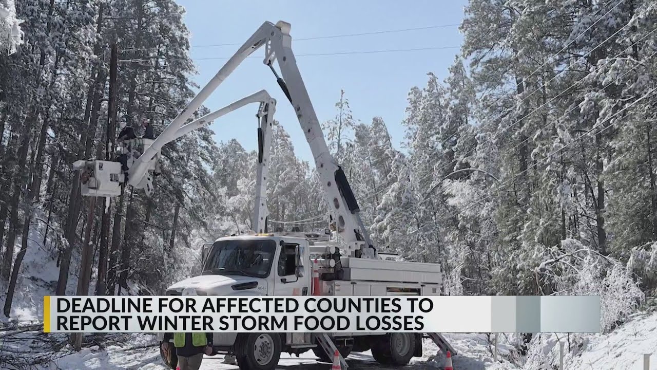 Lincoln, Chaves, and some Otero County residents impacted by winter storm can get SNAP benefits repl