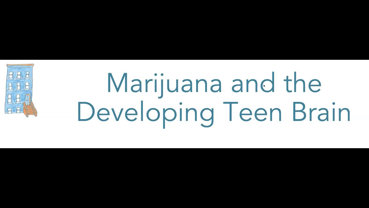 Teens Using Pot: Marijuana and the Developing Brain with Small Brooklyn Psychology