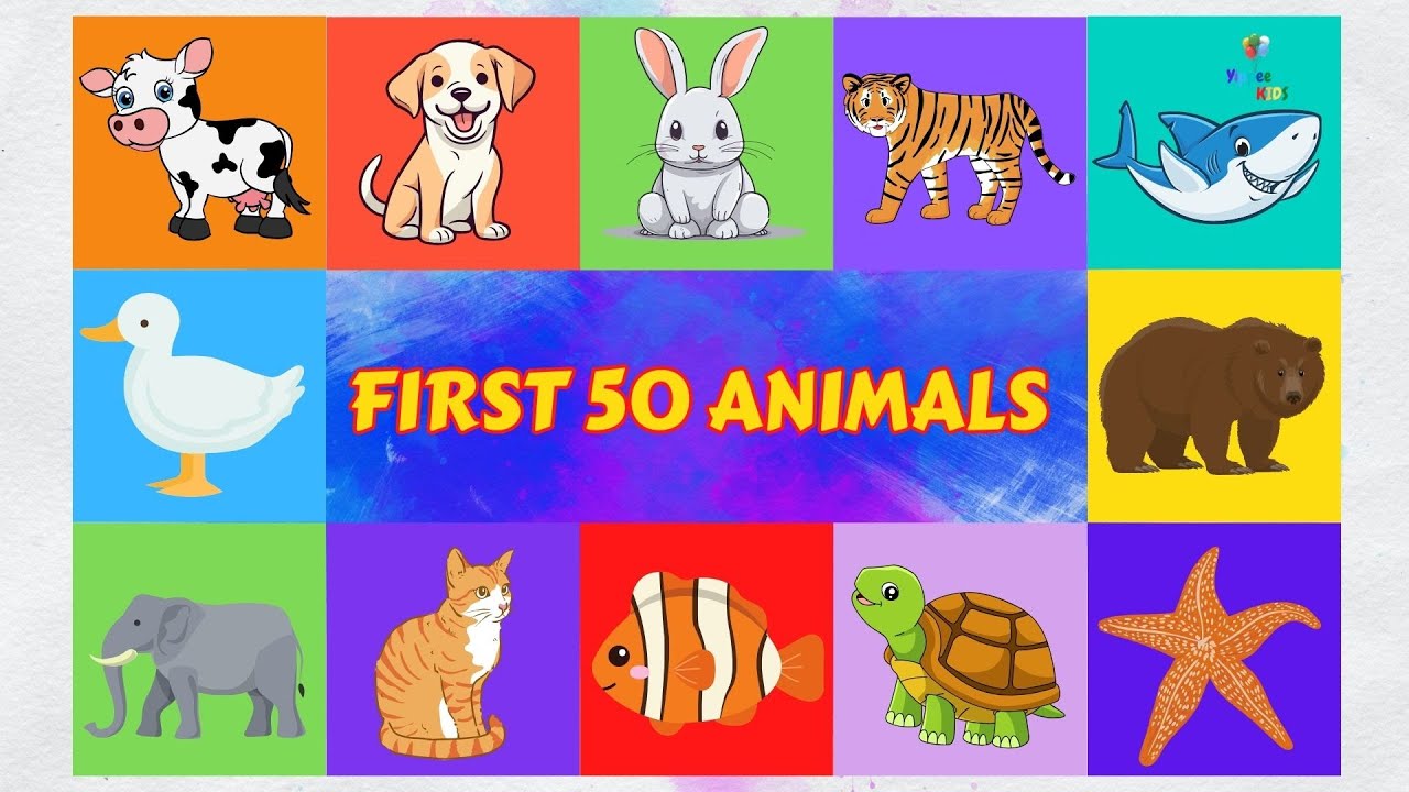 Discover the Wildlife Wonders : Meet the First 50 Animals for Kids! | Yippee Kids