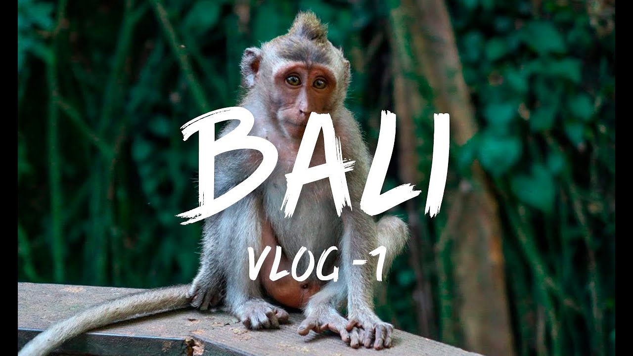 Vlog 1: Centro de Ubud | #BALI