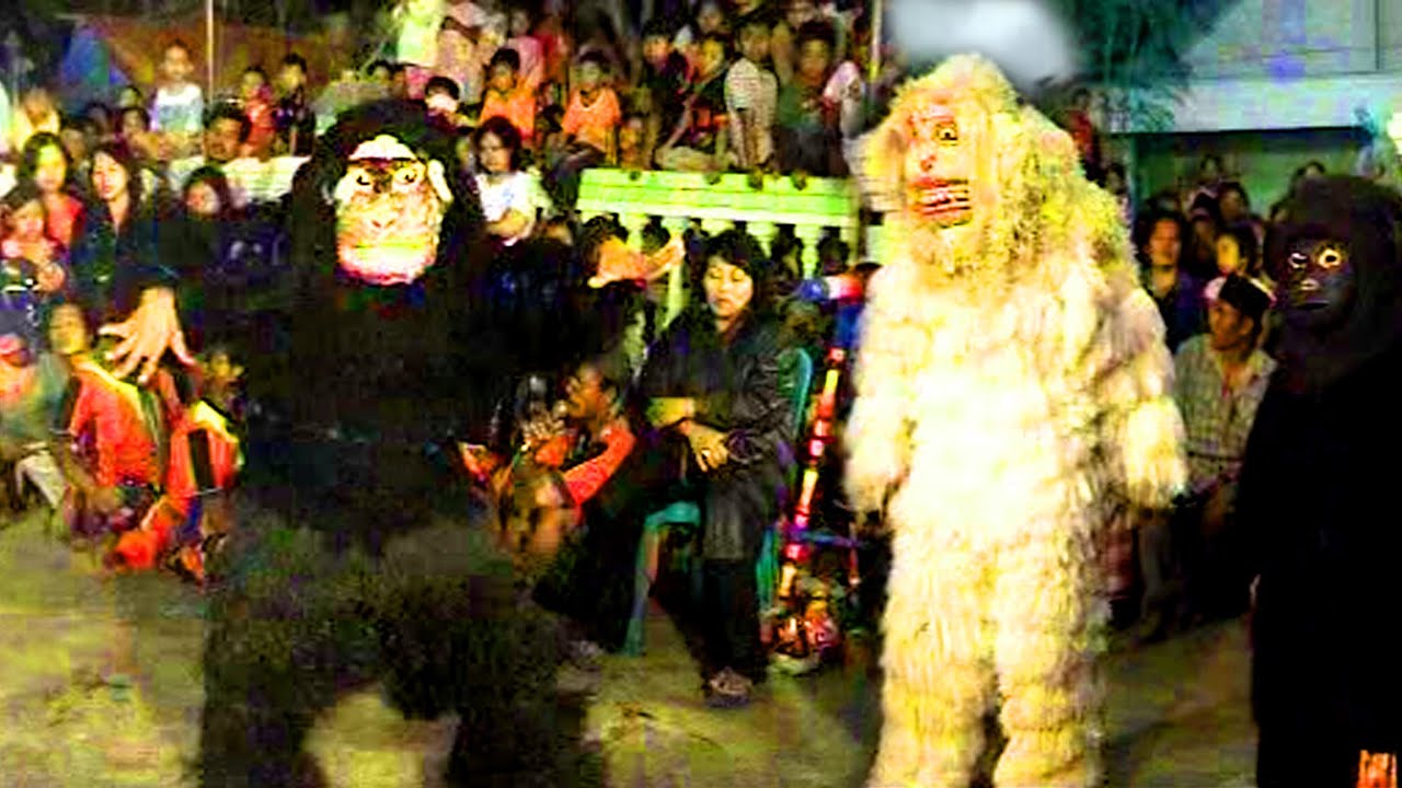 Yogik Kera Hitam dan Kera Purih Reog Setia Kawan malam 01 Perjuangan bersama Mbak Tunami