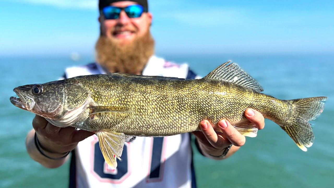 Легендарный капитан СУДАЯ учит нас, КАК ОГРАНИЧИВАТЬ (озеро Эри)
