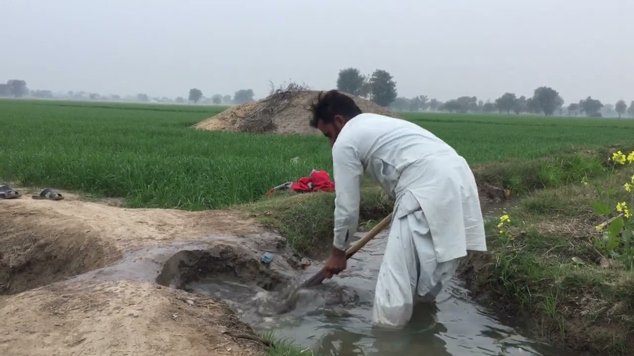 Vlog video