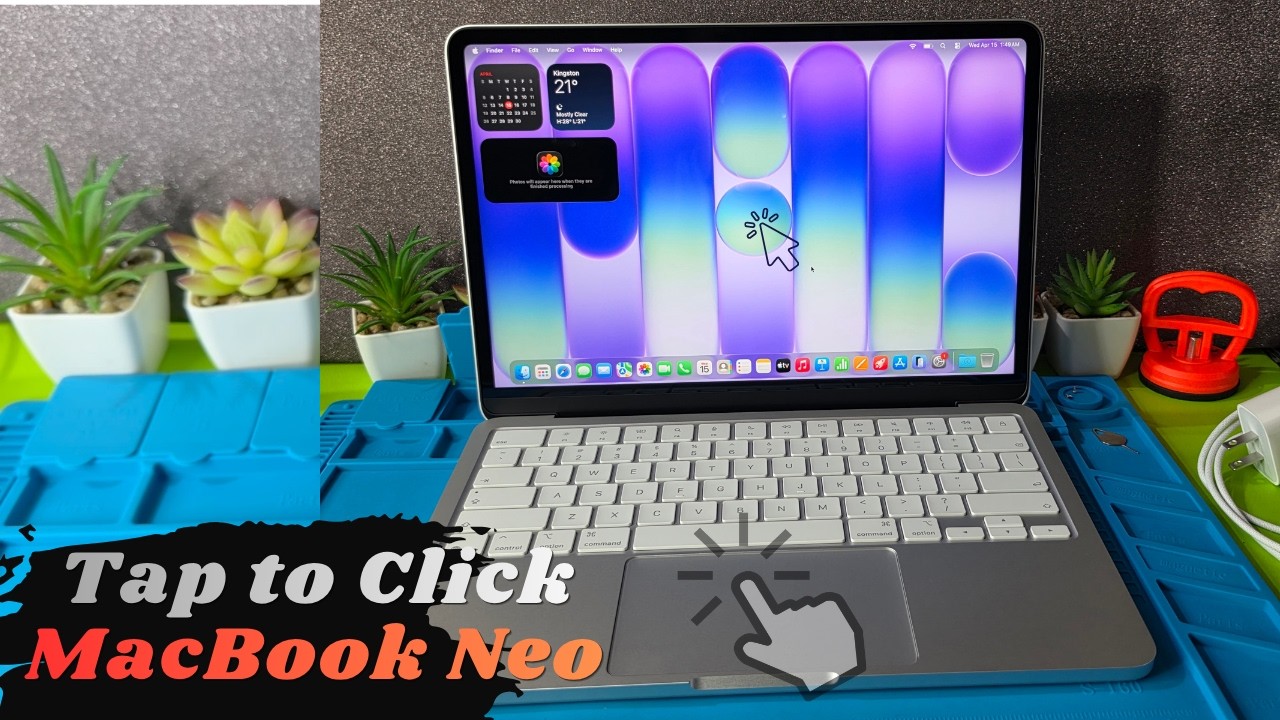 MacBook Neo Activate Tap to Click