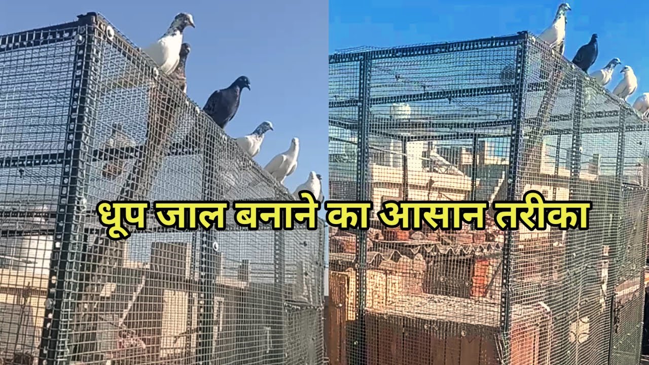धूप जाल बनाने का आसान तरीका | pigeon loft making | pigeon loft | pigeon house