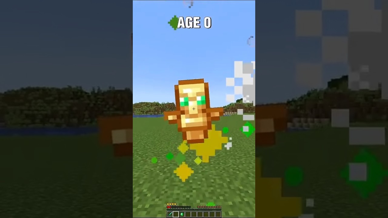 Minecraft mlg age100 age 87 age 69. age 43 age 33 age 12 age 00#minecraft #mlg #viral #srost #trend