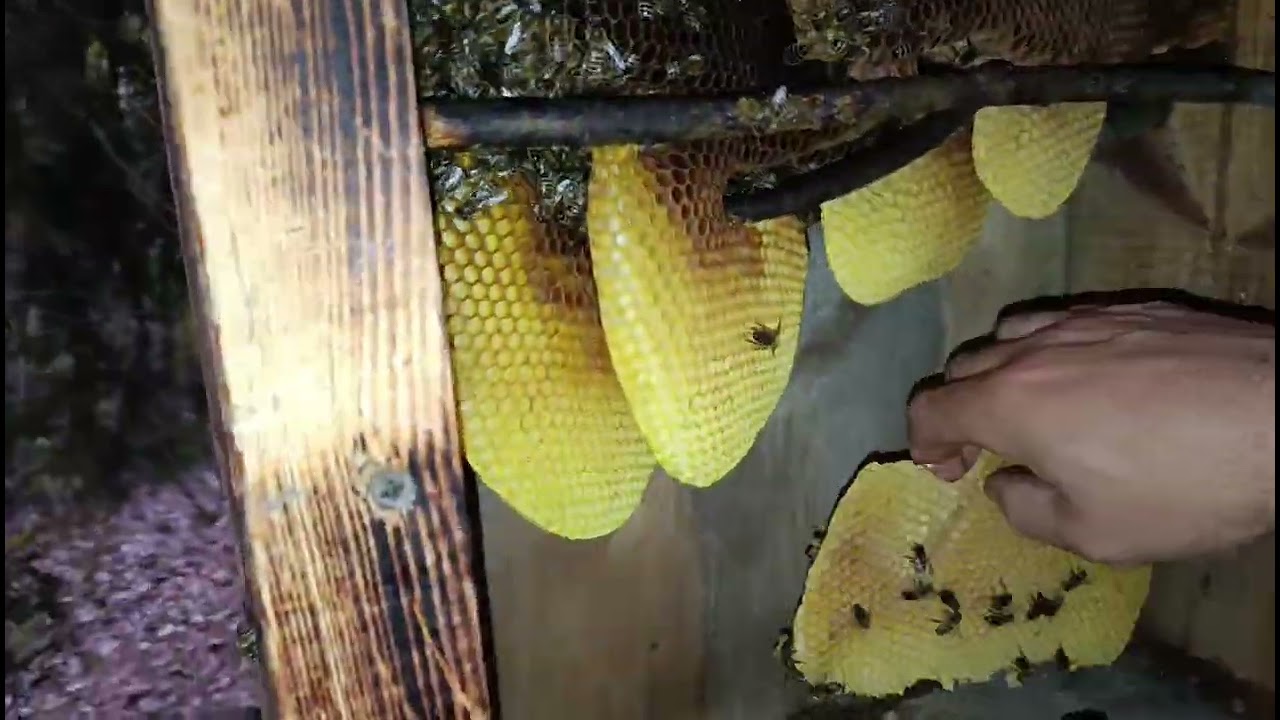 І таке буває.