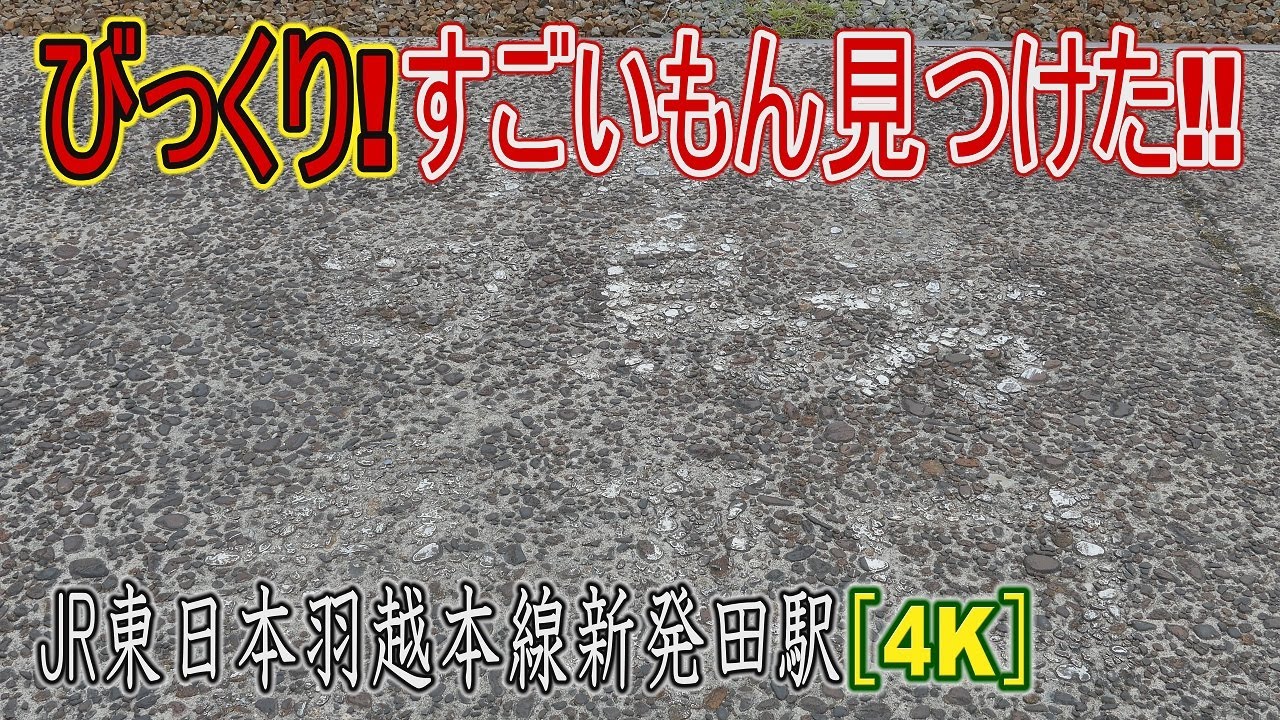 【駅に行って来た】羽越本線新発田駅(1) 1番線のりばに遺されていた凄いものとは??
