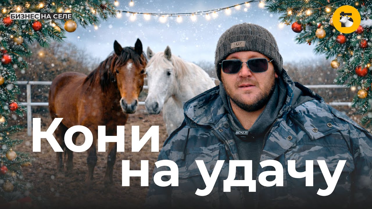 Скрестить тяжеловоза с местной лошадью. Как фермер из Татарстана создает конеферму на 1000 голов