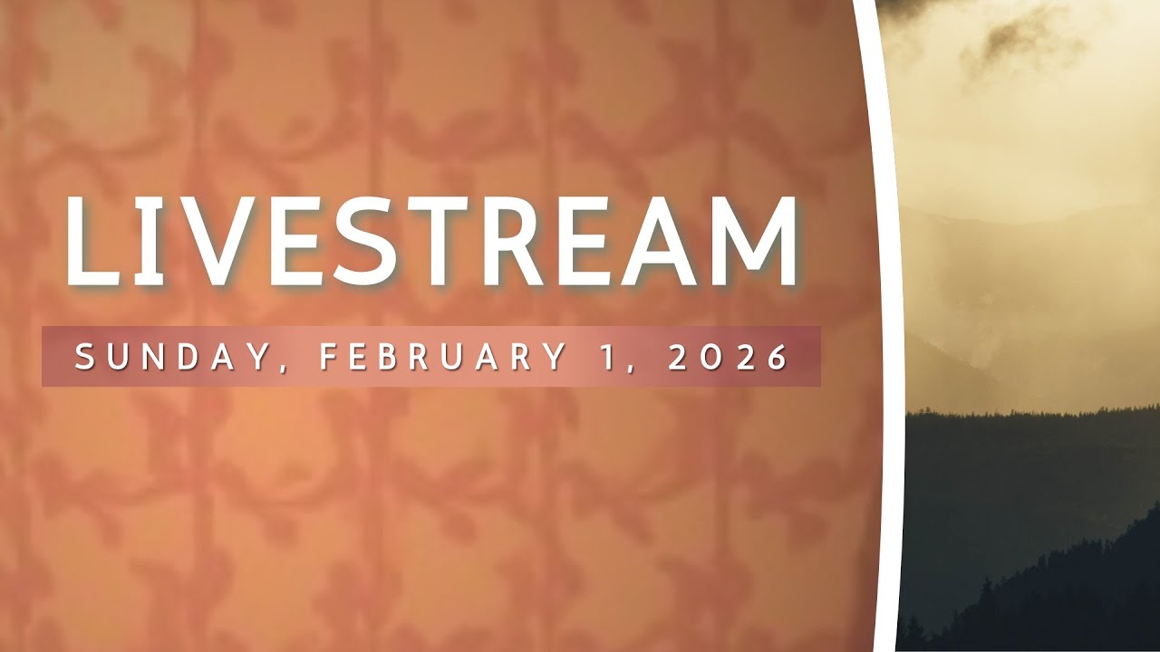 Sunday Livestream | 2/1/2026