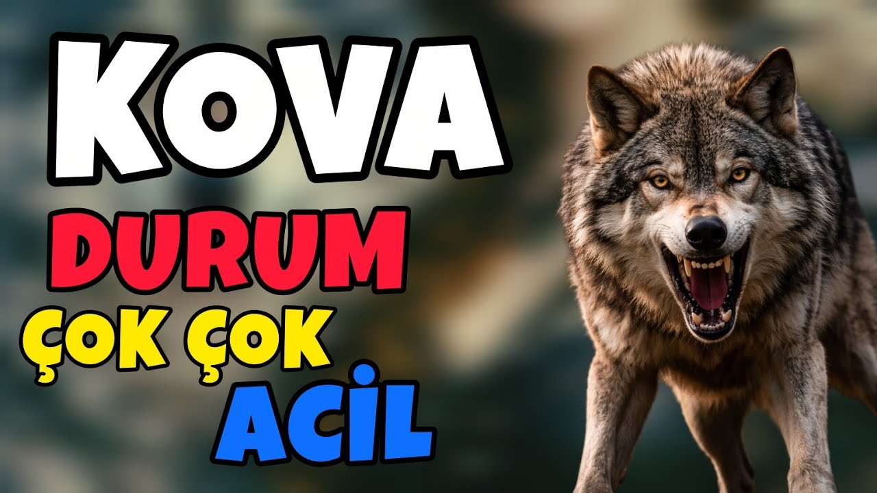 KOVA BURCU - DURUM ÇOK ÇOK ACİL ‼️