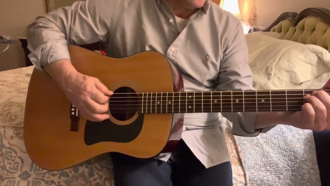 Washburn D-12 1988