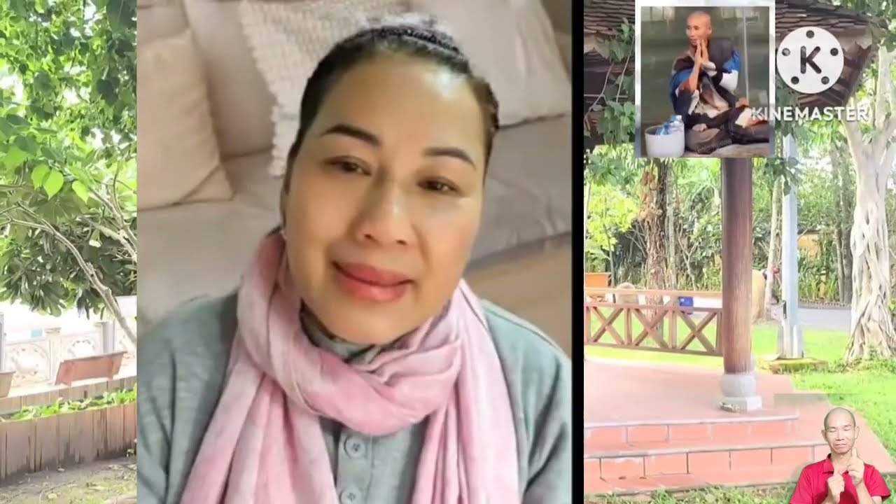 chị luật sư vén màn chuyện tình xàm tăng tệ hải và thích tồn lừ dơ dái nghe rất hay 