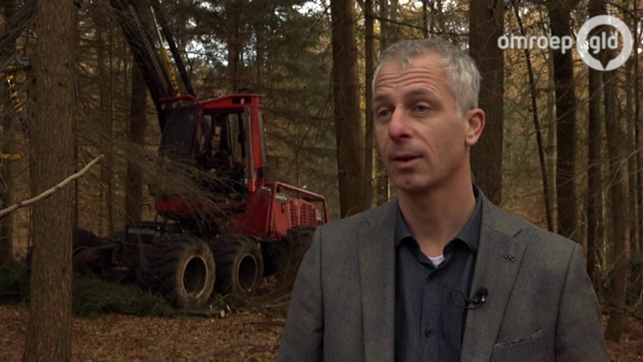 Al 130 damherten geschoten in het Deelerwoud: 'Damherten zijn net konijnen.'