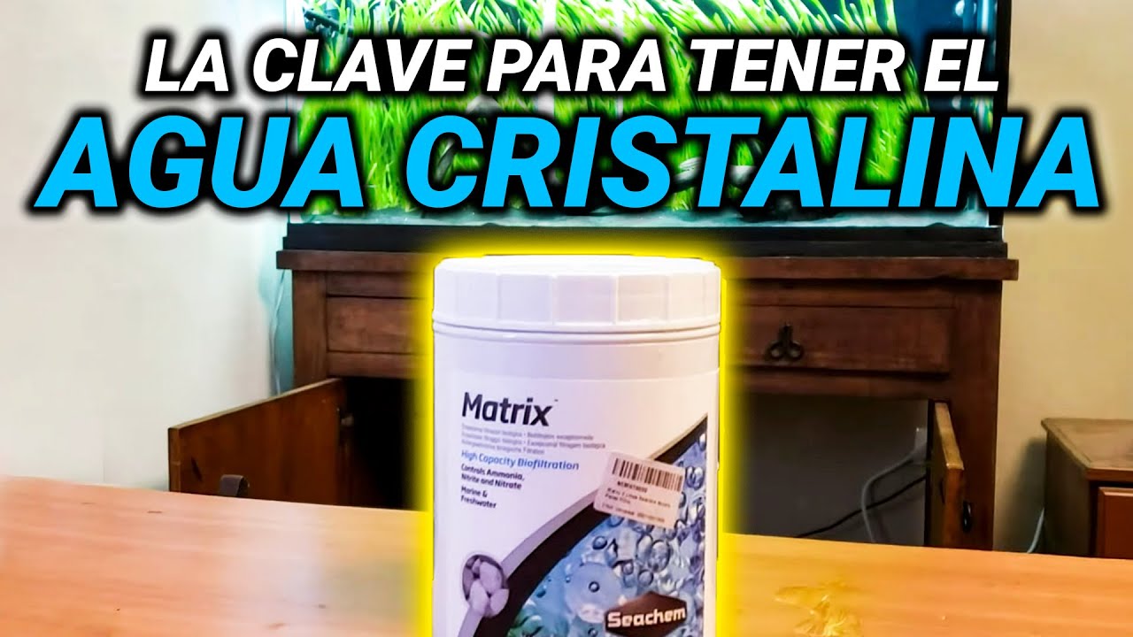 ¡LA CLAVE DEL AGUA CRISTALINA! EXPLICACIÓN DEL FILTRO QUE USO