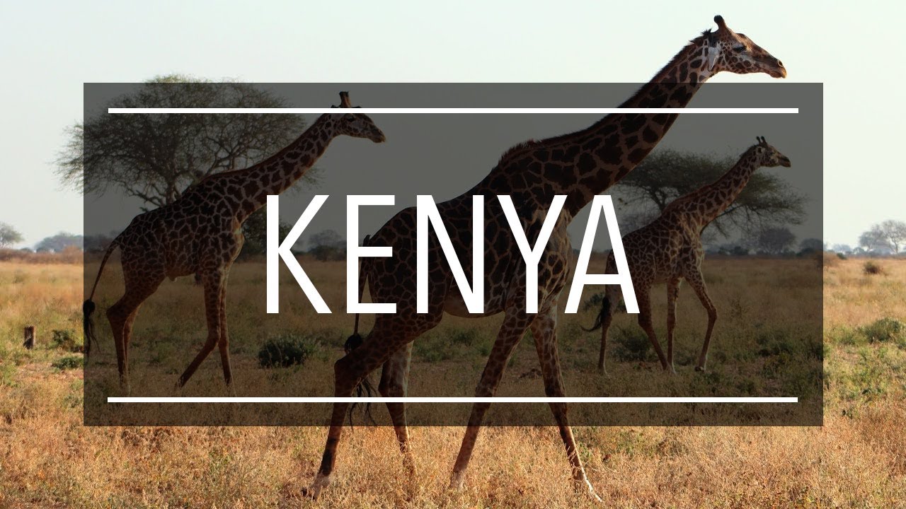 Kenya 2024 | Diani Beach | Safari - Tsavo East - Amboseli - Taita Hills Wildlife Sanctuary | Kenia