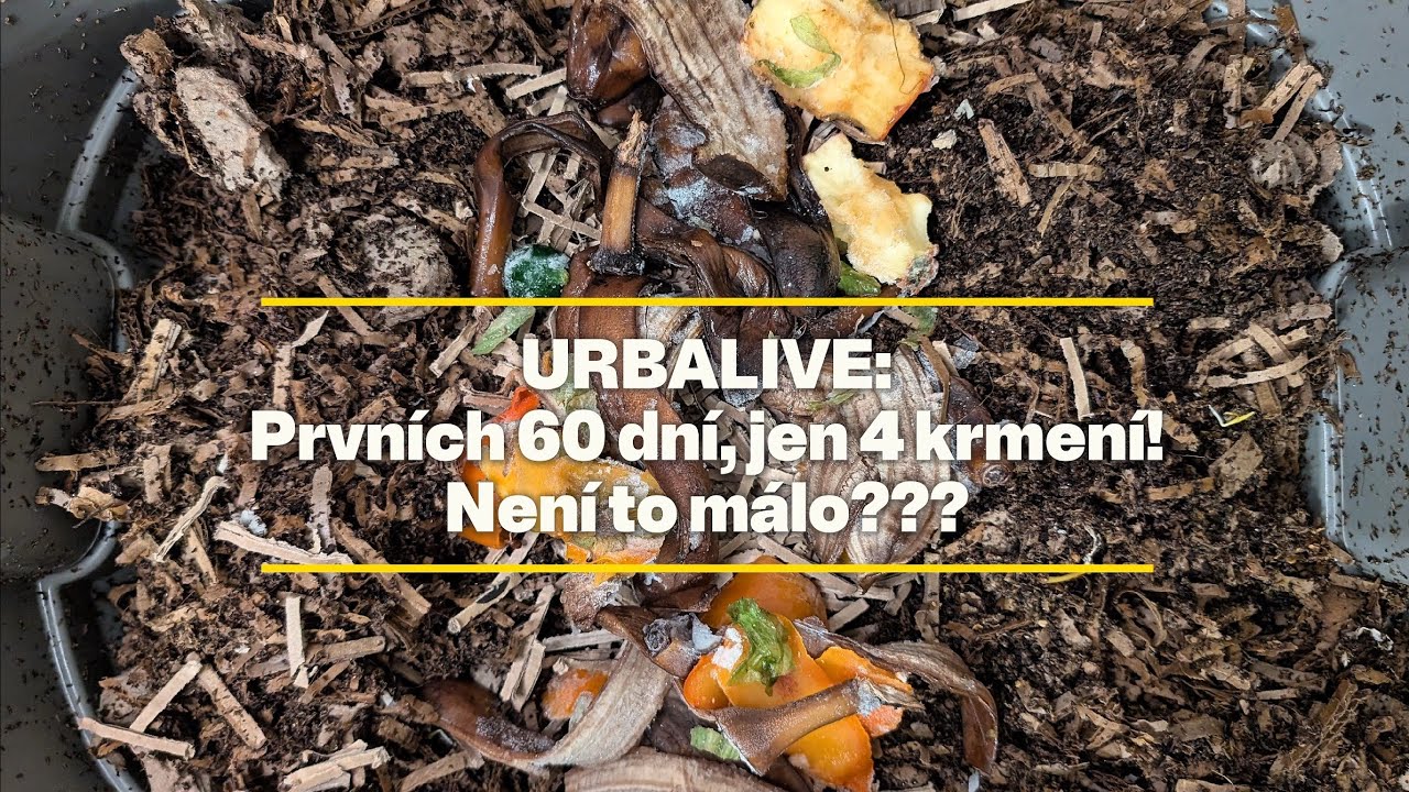 |WORMÁK| Není to málo? Nakrmil jsem jen 4x za dva měsíce.