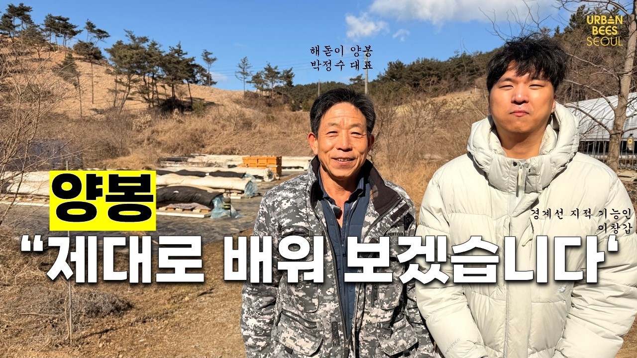 10년 차 양봉 고수가 경계선 지능 창갑 씨를 제자로 받아들인 이유#어반비즈서울#도시양봉가#경계선지적기능인#양봉가되기#해돋이양봉#어반비즈#양봉가양성#양봉배우기